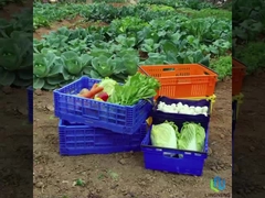 27L легкий складной ящик коробка овощные фрукты оборот сетки ящик с ручками